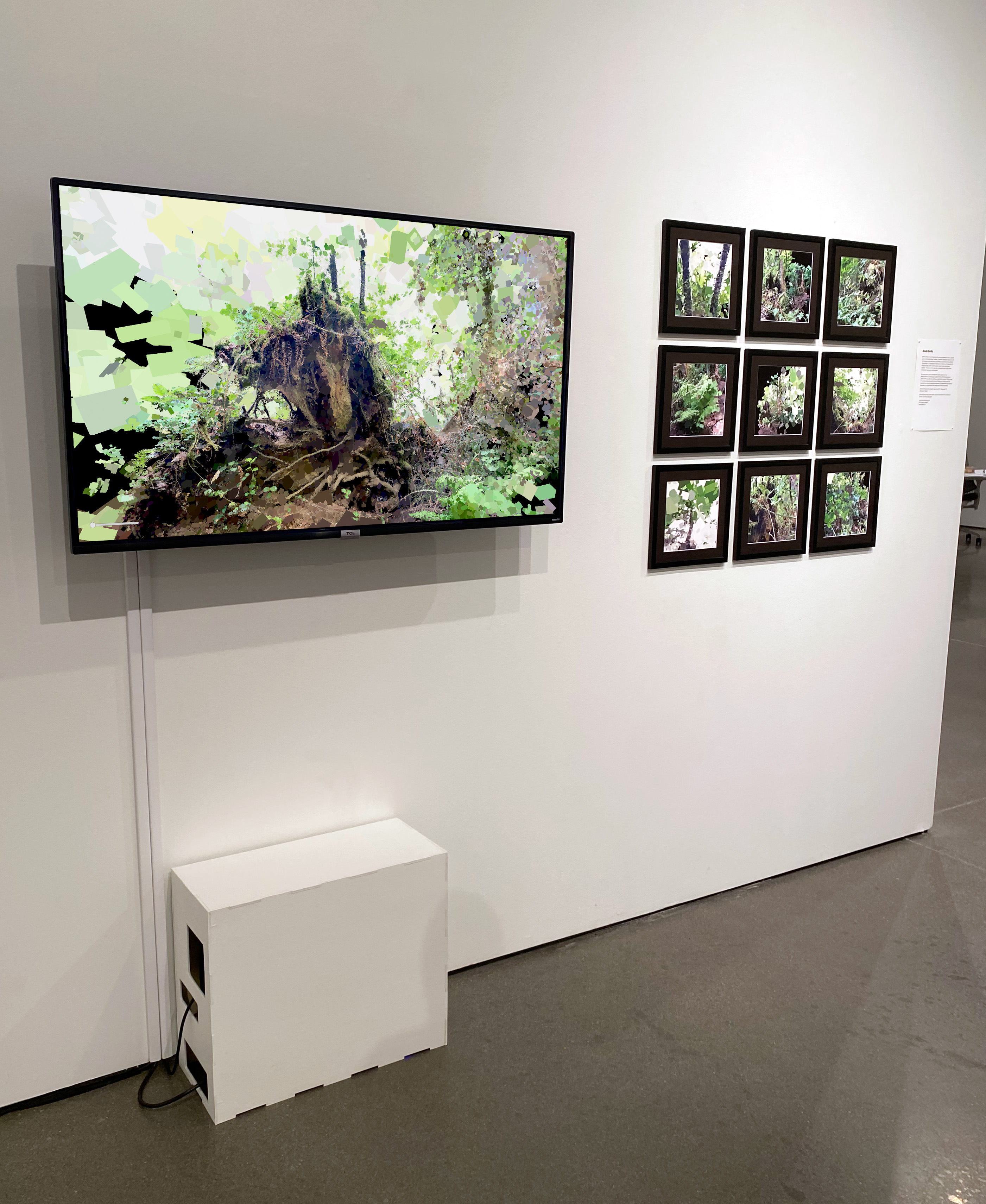 Radiant Overgrowth full model overview